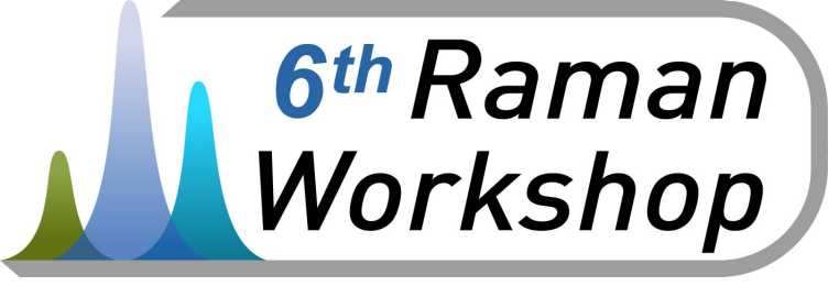 Raman Workshop logotype