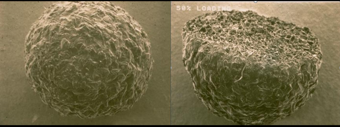 Langer microspheres close up