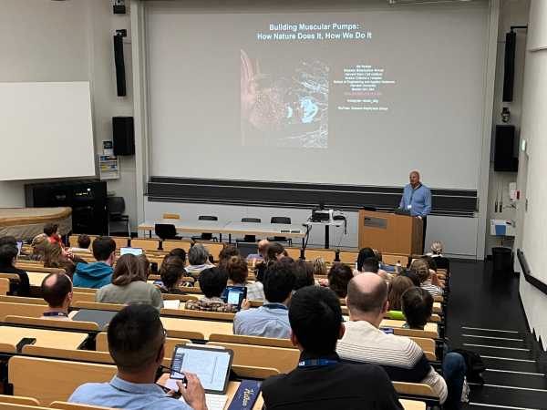 A bald man presenting in front of a lecture hall audience