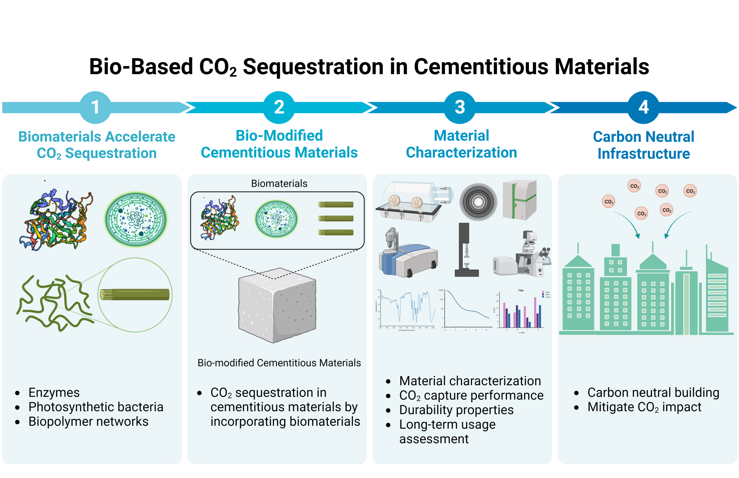 Bio-based CO2 sequestration in cementitious materials